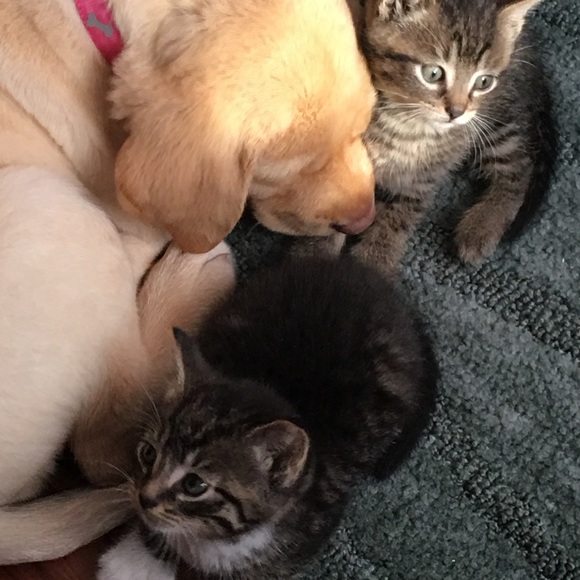 Meet your Posher, Jaslyn - Picture 1 of 1